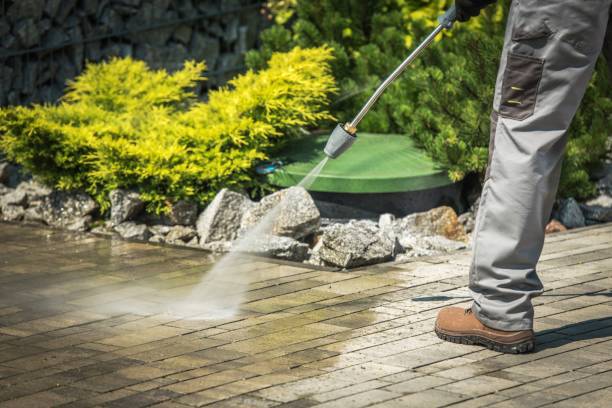 Best Gutter Cleaning  in Dousman, WI