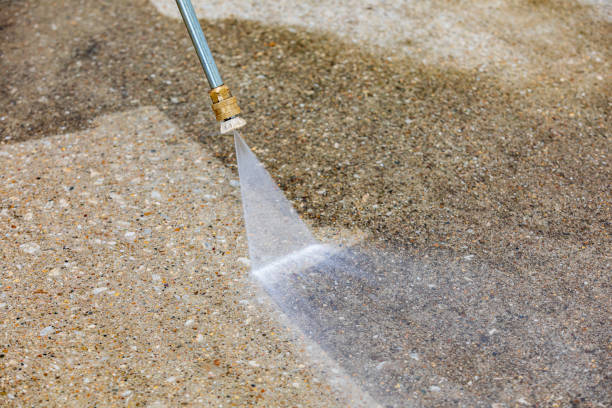 Animal Enclosure Cleaning in Dousman, WI